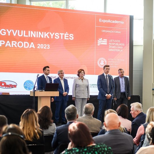 Iliustracija