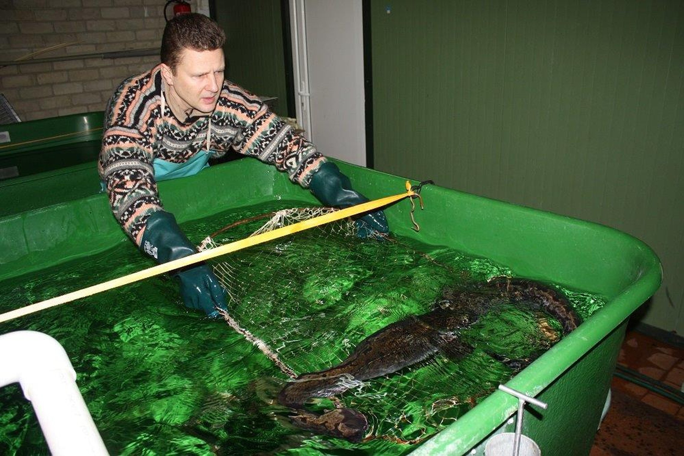 Iliustracija