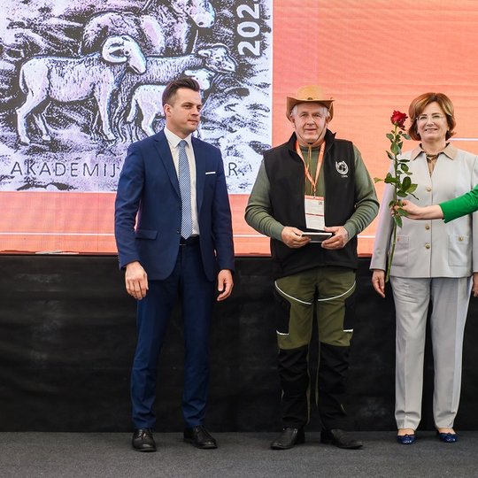 Iliustracija