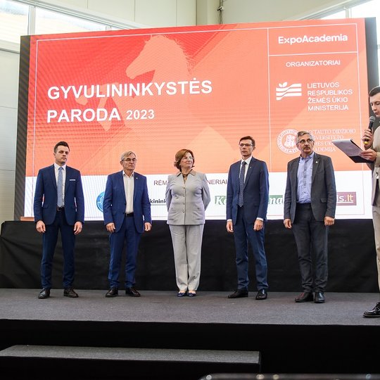 Iliustracija