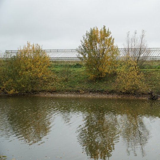 Iliustracija