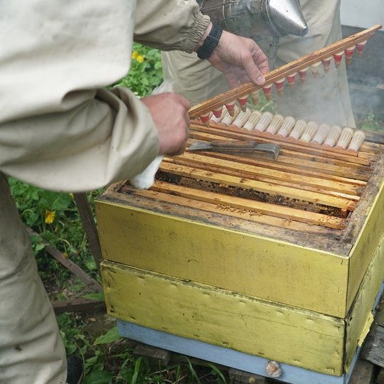 Iliustracija