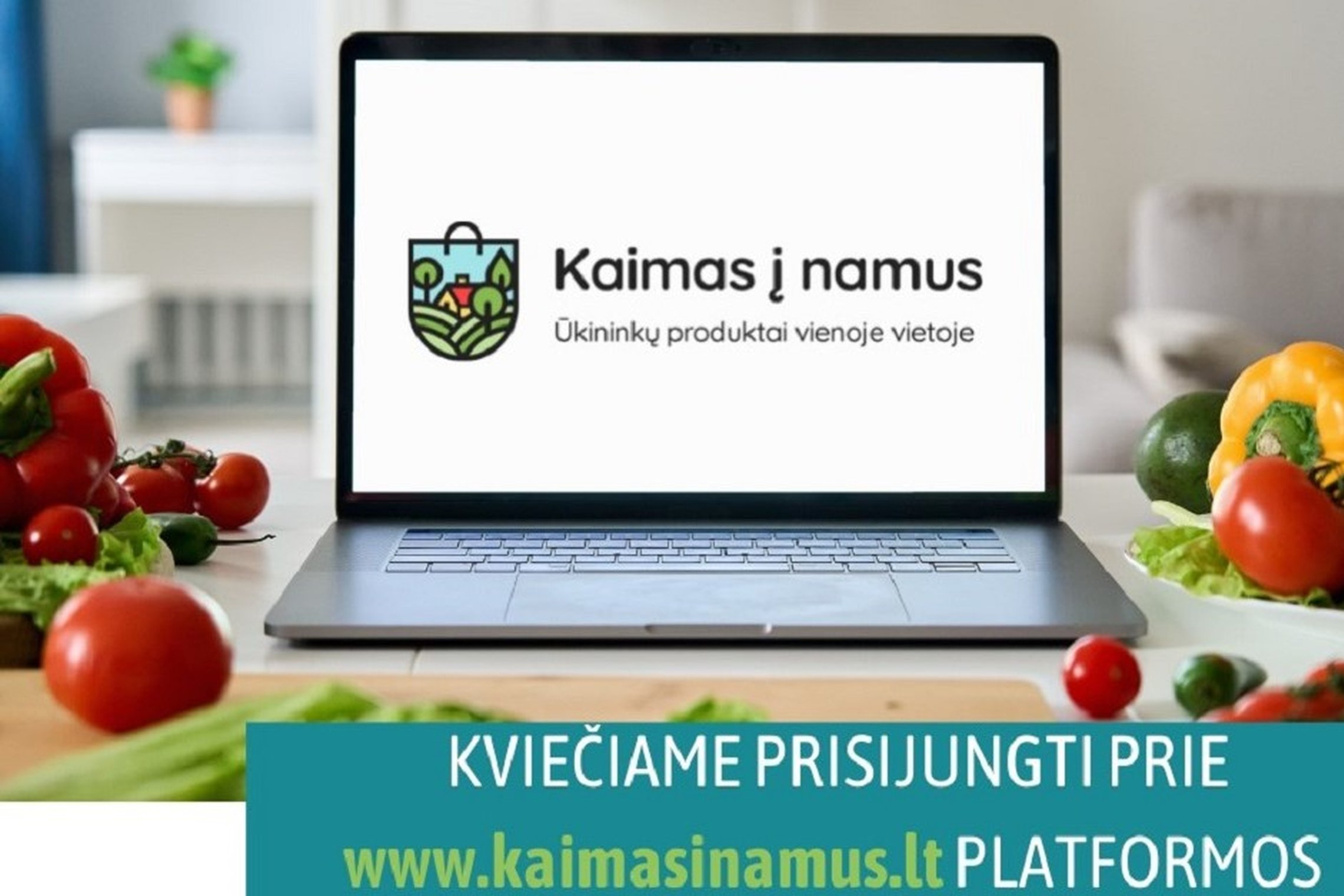 Iliustracija