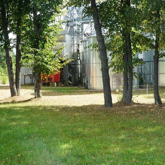 Iliustracija