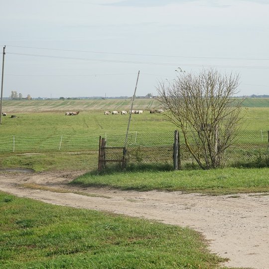 Iliustracija