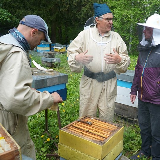 Iliustracija