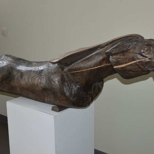 Iliustracija