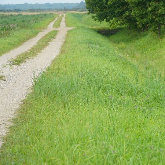 Iliustracija