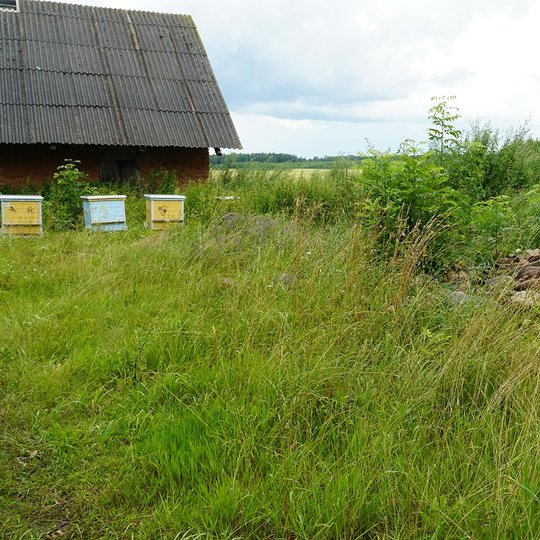 Iliustracija
