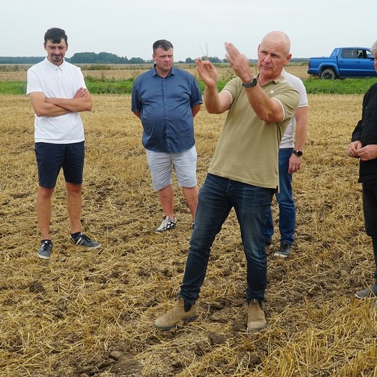 Iliustracija
