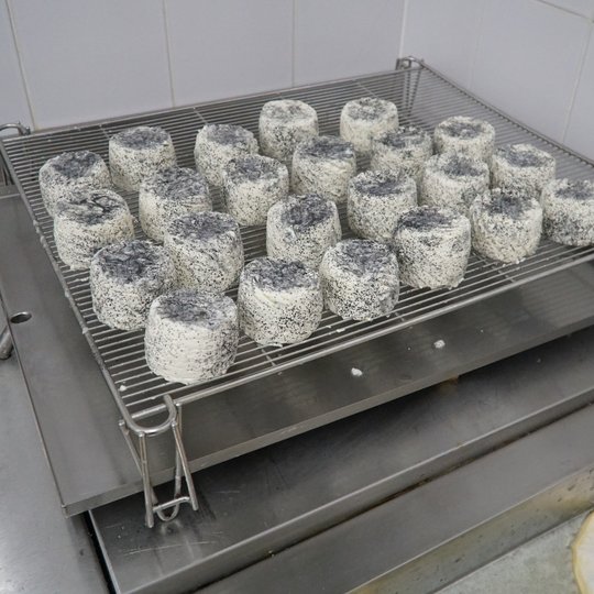 Iliustracija