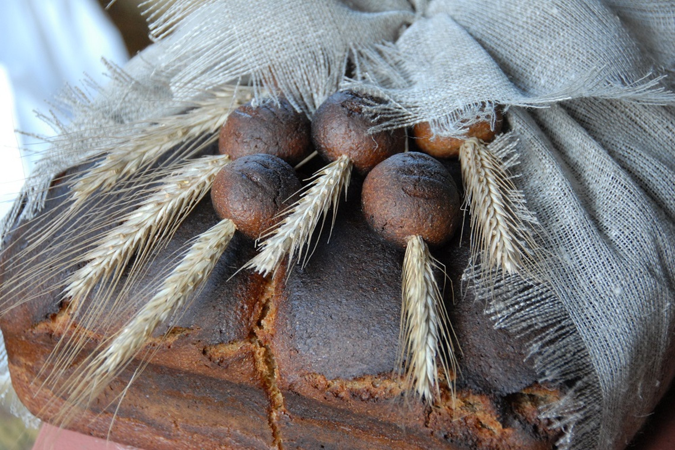 Iliustracija