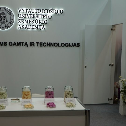 Iliustracija