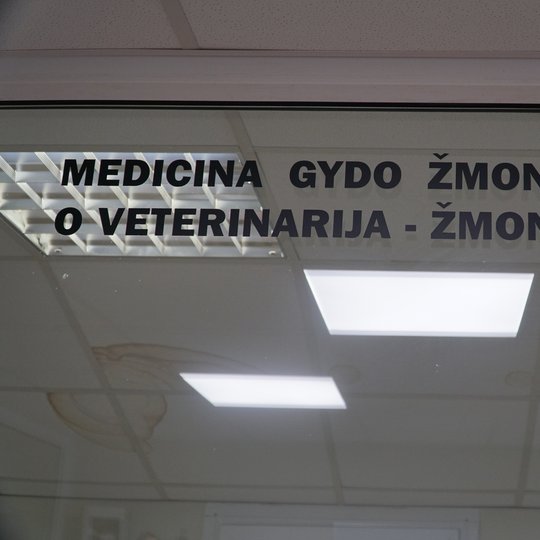 Iliustracija