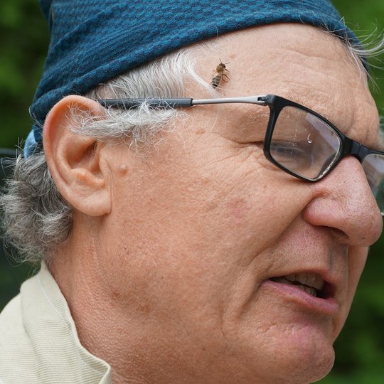 Iliustracija