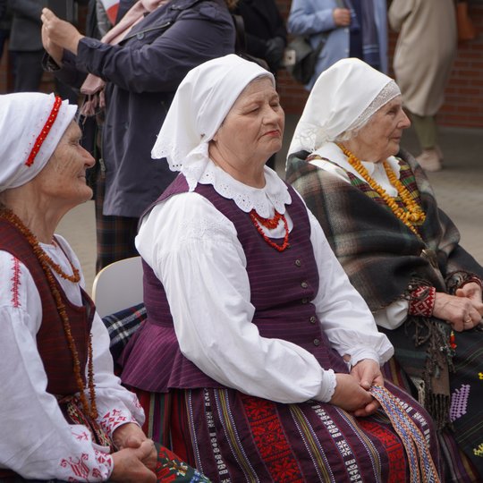 Iliustracija