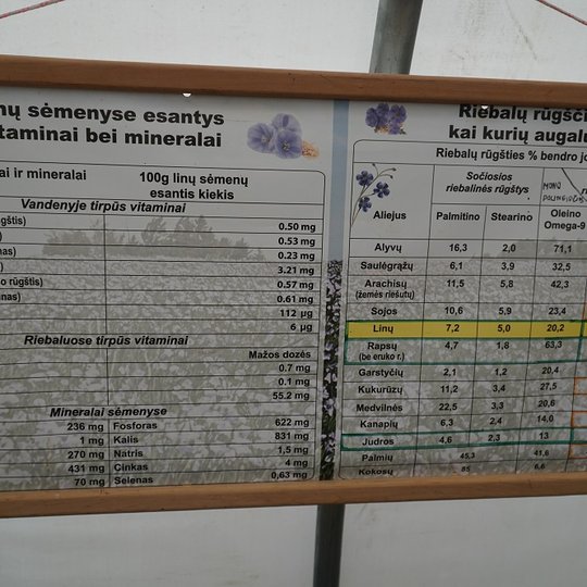 Iliustracija