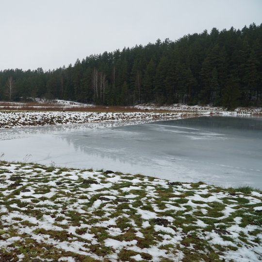 Iliustracija