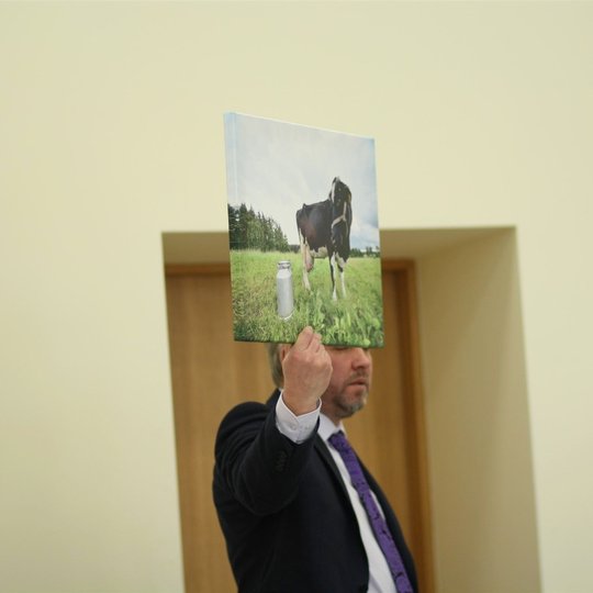 Iliustracija