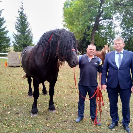 Iliustracija