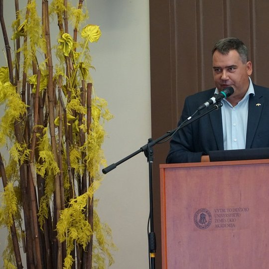 Iliustracija