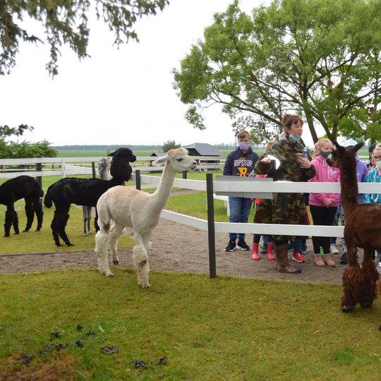 Iliustracija