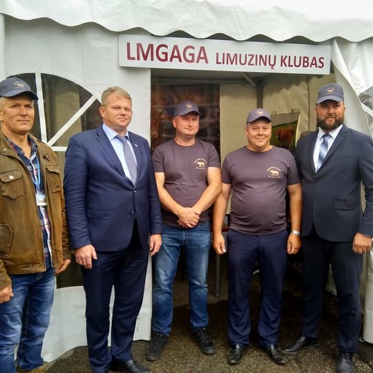 Iliustracija