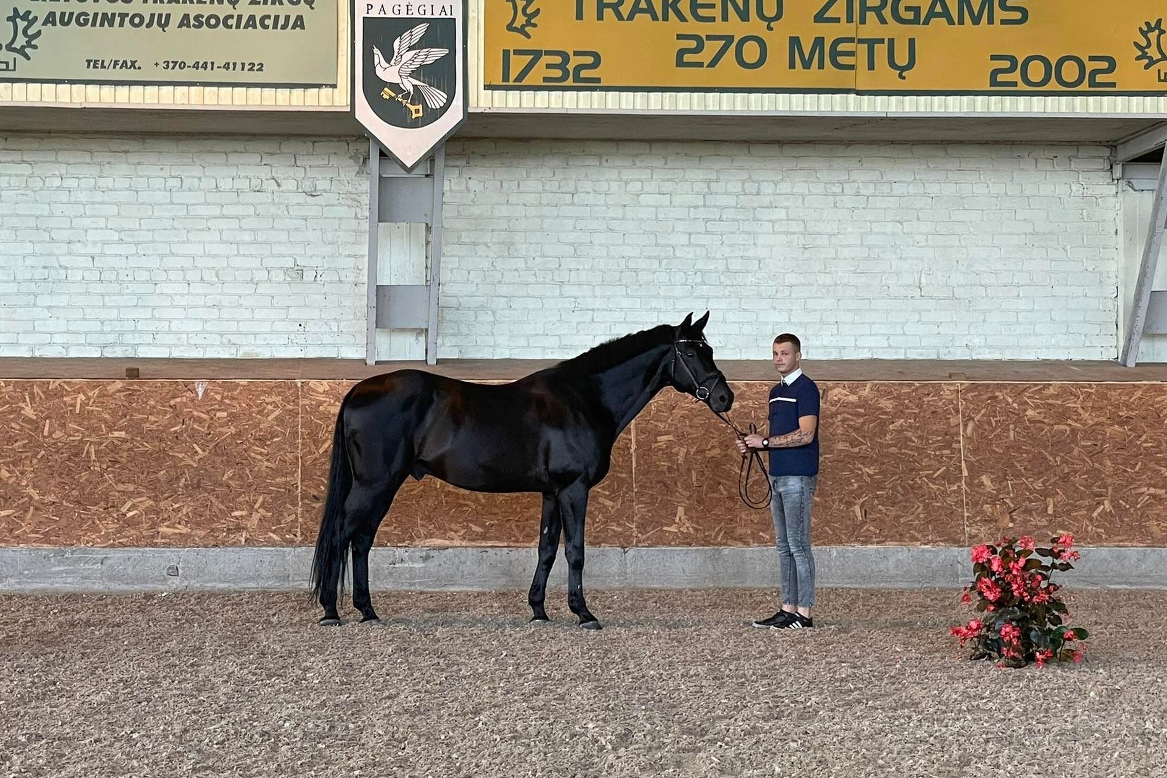 Iliustracija
