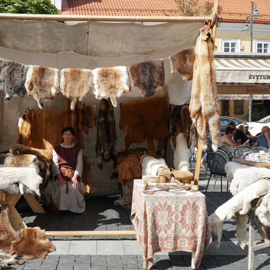 Iliustracija