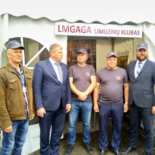Iliustracija