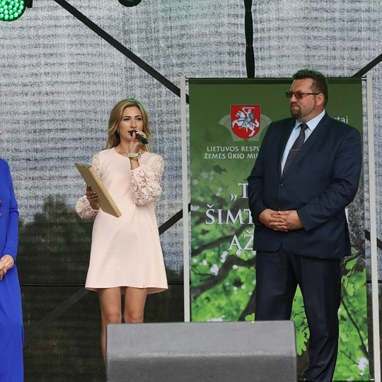 Iliustracija