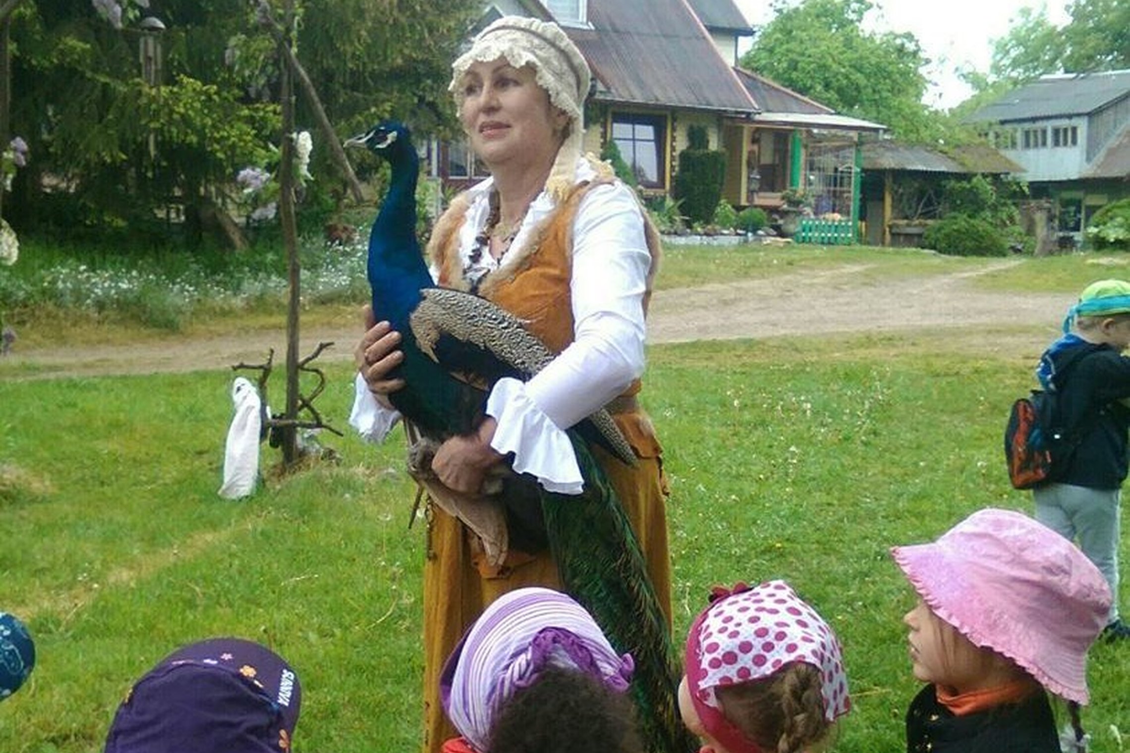 Iliustracija