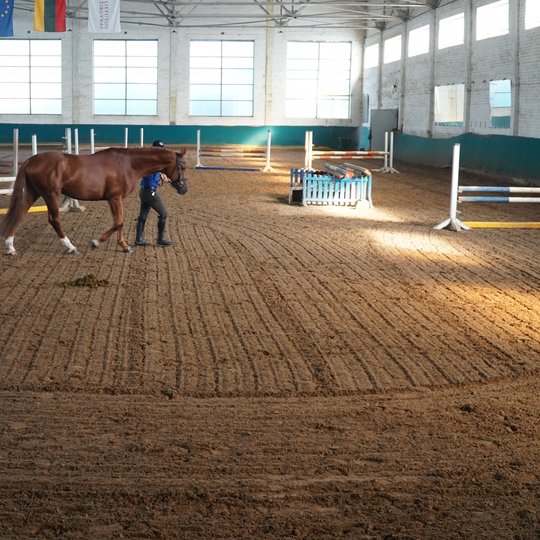 Iliustracija