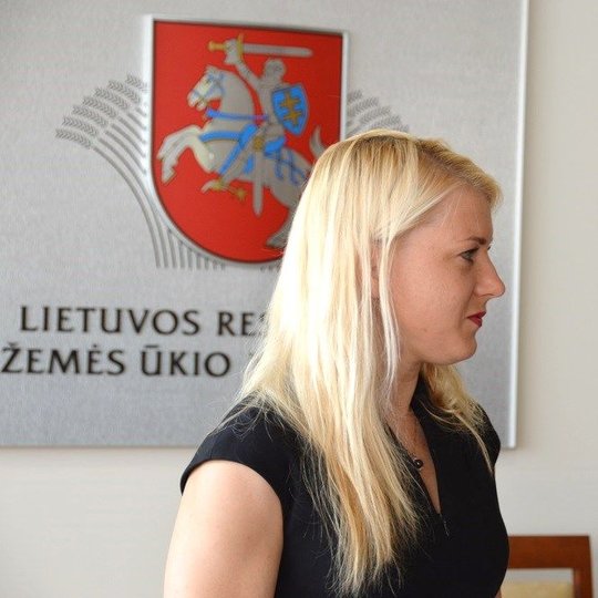 Iliustracija