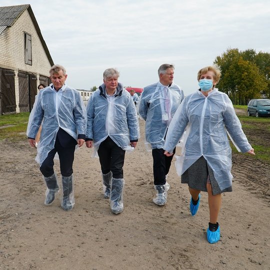 Iliustracija