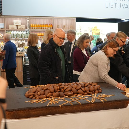 Iliustracija