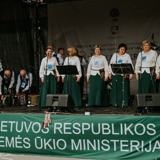 Iliustracija