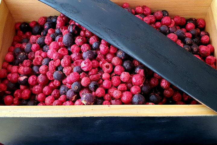 20220705_110630.jpg