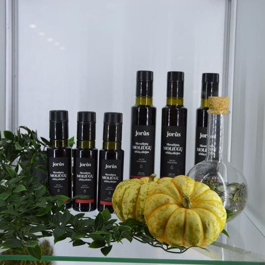 Iliustracija