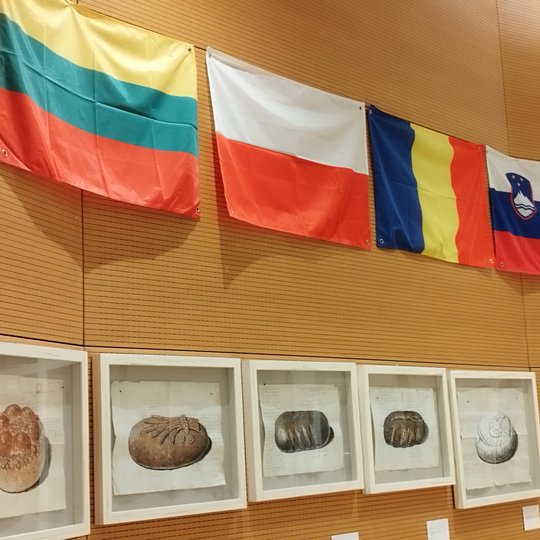 Iliustracija
