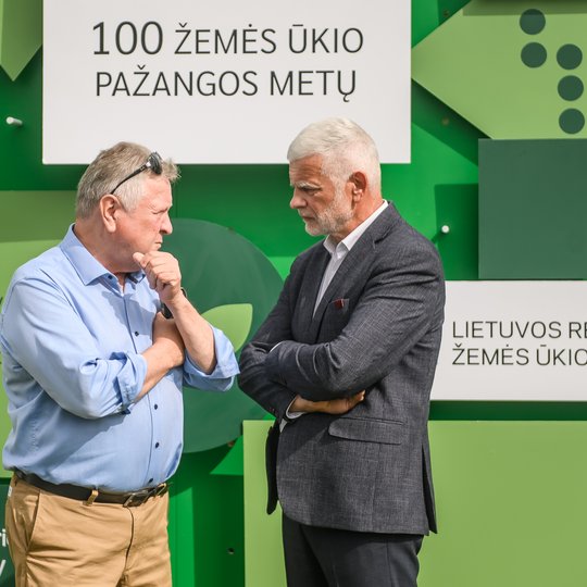 Iliustracija