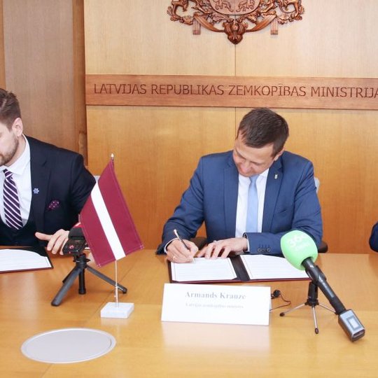 Iliustracija