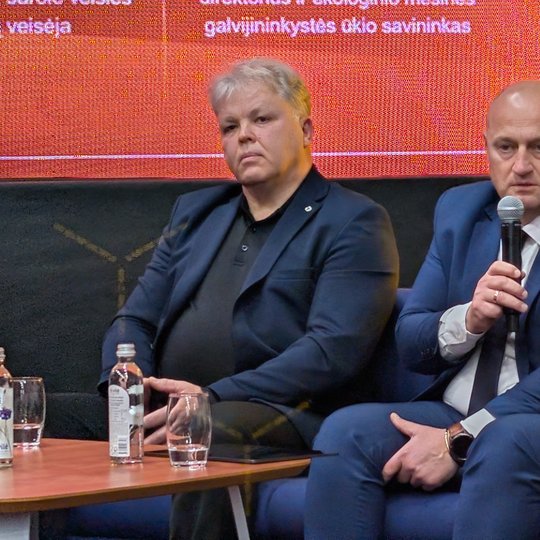 Iliustracija