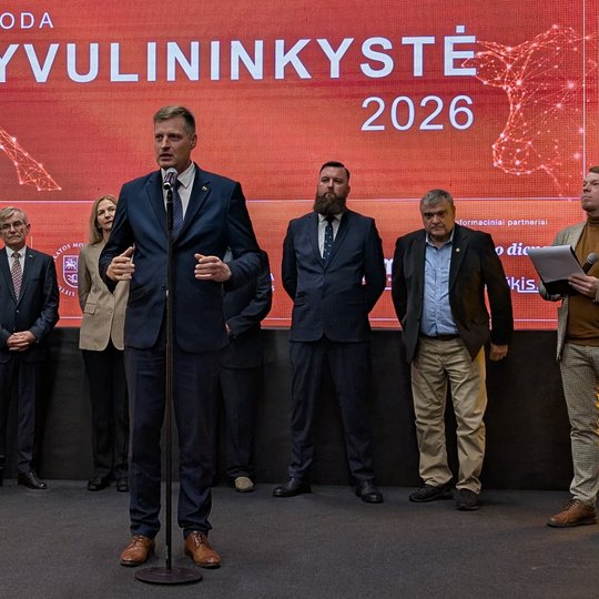 Iliustracija