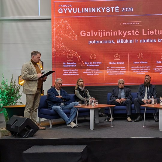 Iliustracija