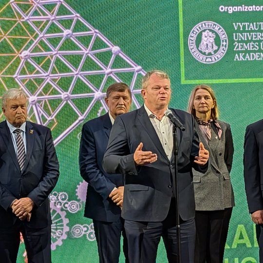 Iliustracija